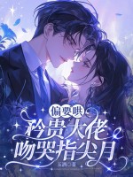 偏要哄，矜贵大佬吻哭指尖月